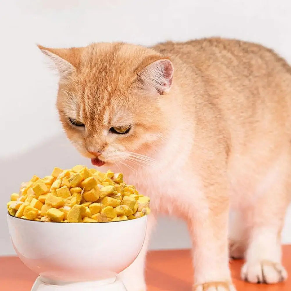 40g Freeze-Dried Egg Yolk Cat Treats - Healthy Snacks