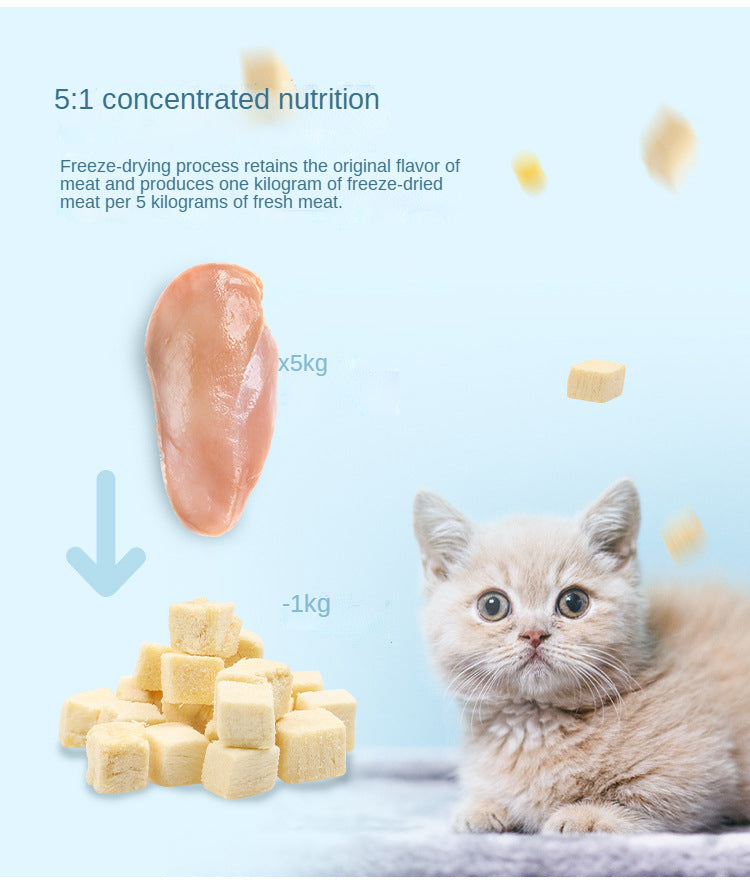 Mixed Protein Bites