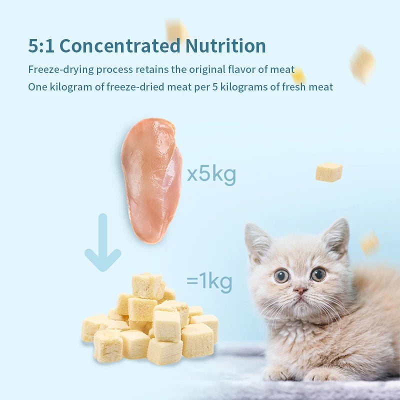 Mixed Protein Bites