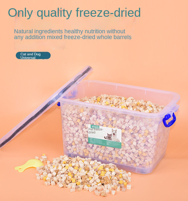 Mixed Protein Bites