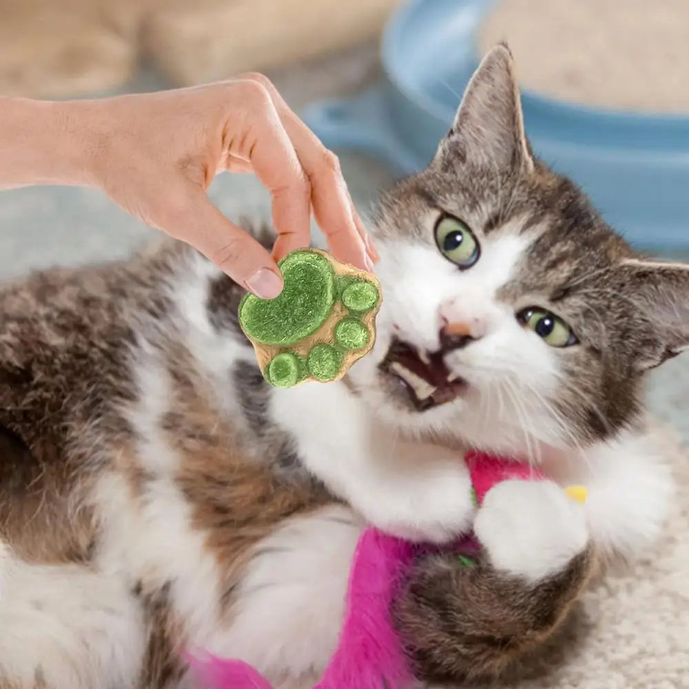 Paw Print Treats