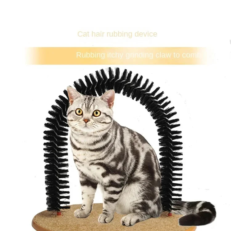 Purrfect Groom Arch