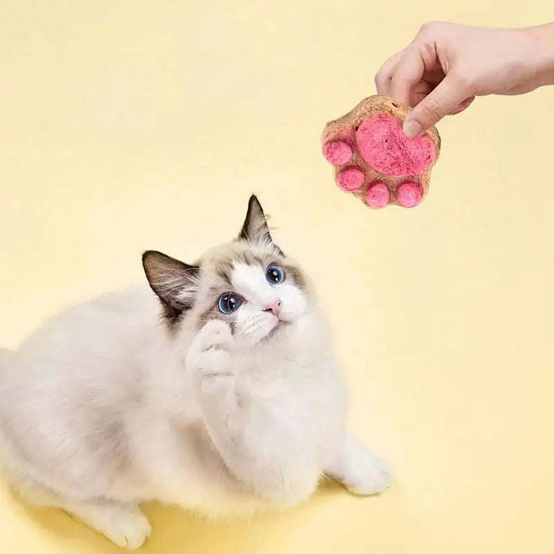 Paw Print Treats