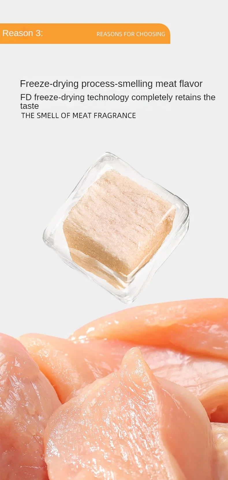 Freeze-Dried Catnip Bites