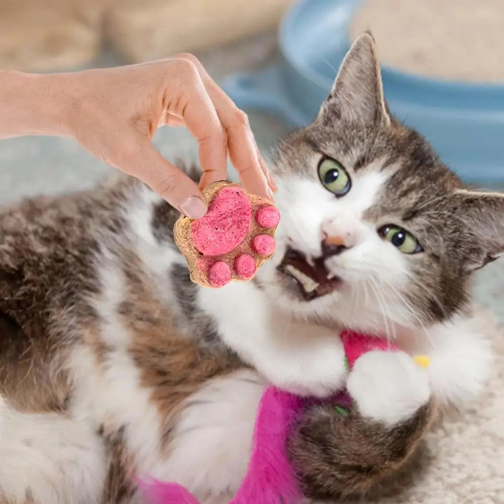 Paw Print Treats
