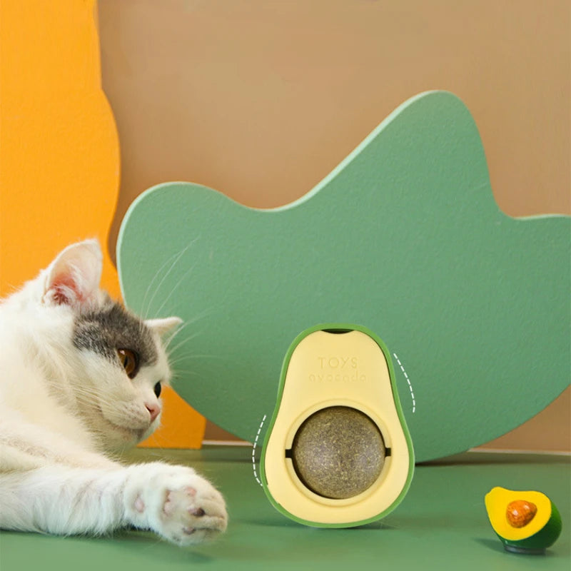Natural Catnip Wall Ball Toy – Healthy Teeth Cleaning & Fun for Cats 🐾