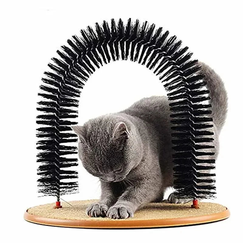 Purrfect Groom Arch