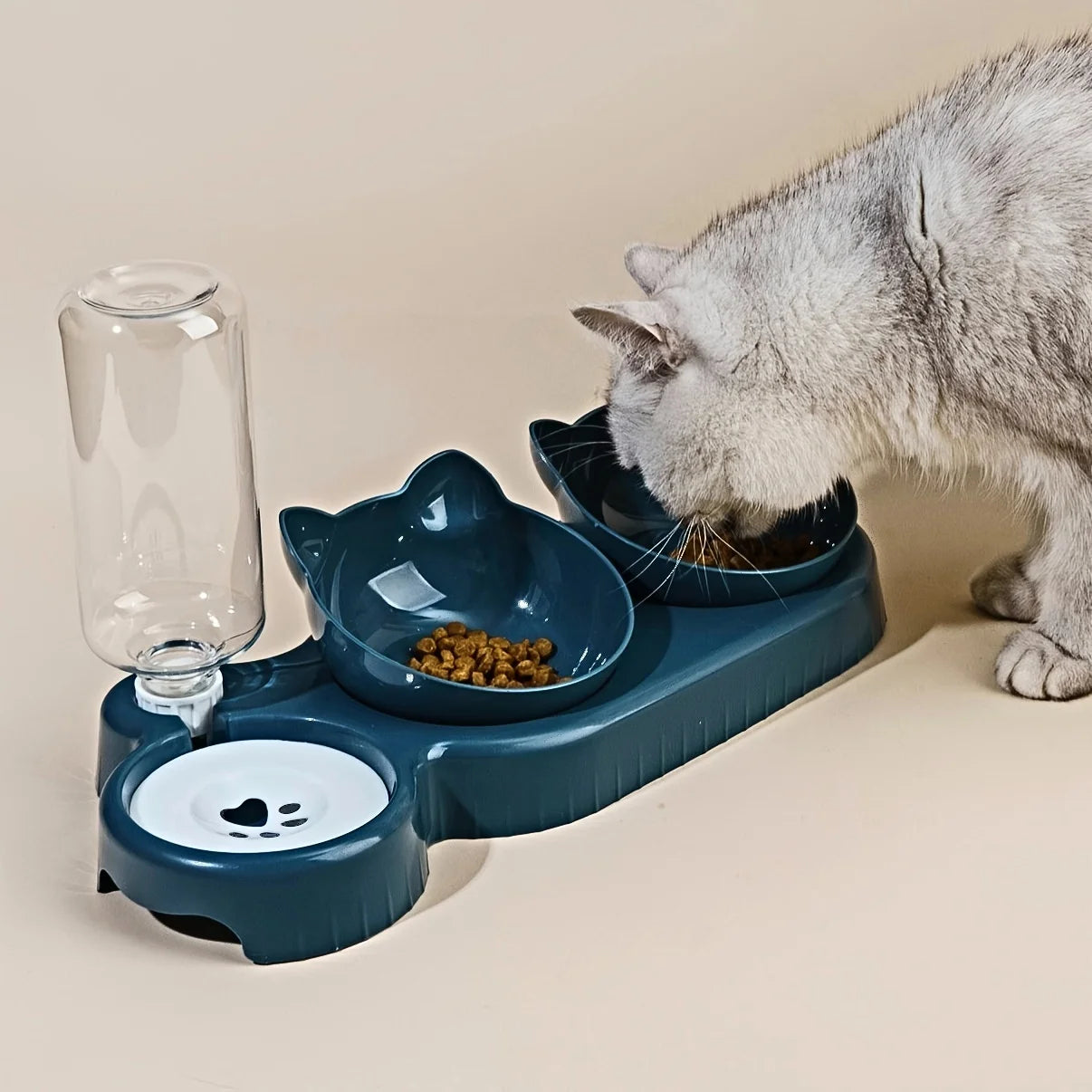 3-in-1 Feeder