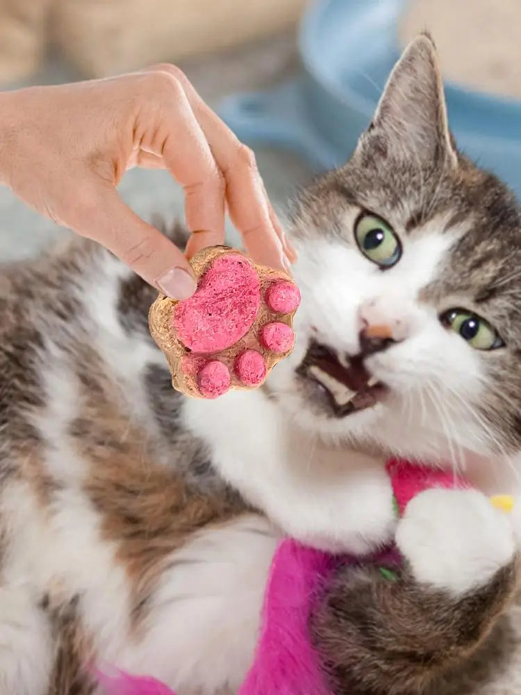 Paw Print Treats