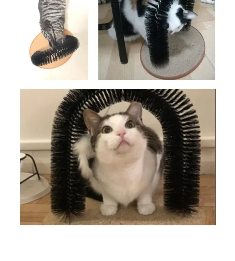 Purrfect Groom Arch