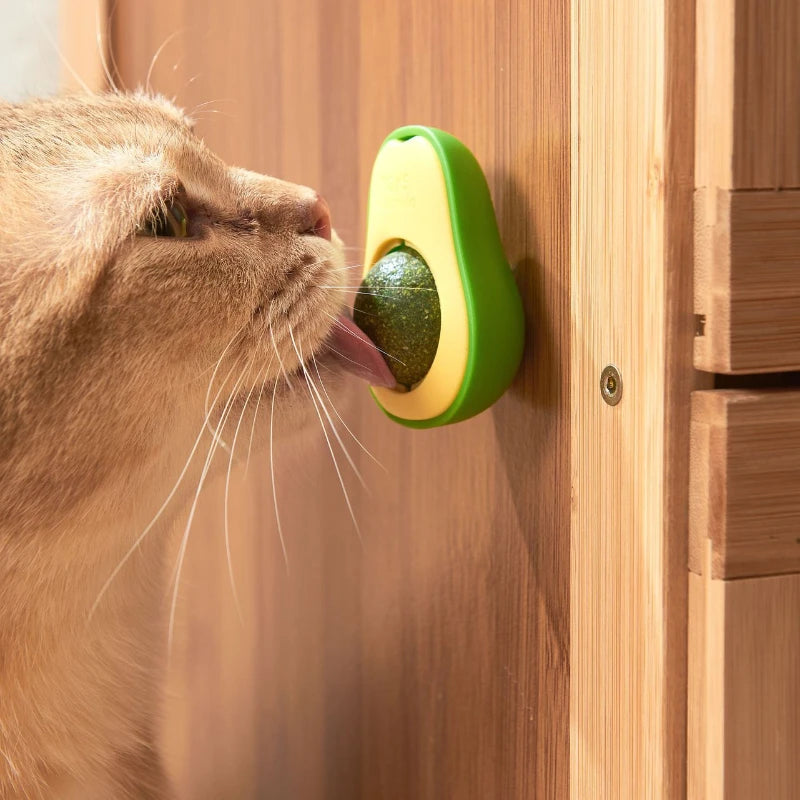 Natural Catnip Wall Ball Toy – Healthy Teeth Cleaning & Fun for Cats 🐾