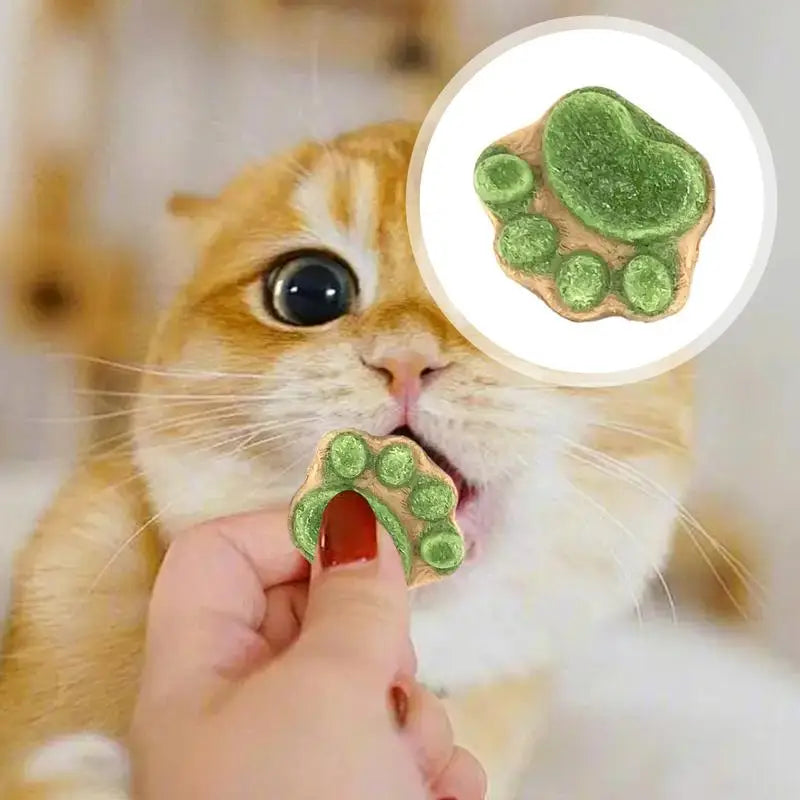 Paw Print Treats