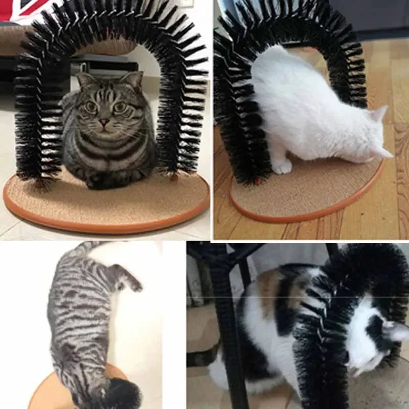 Purrfect Groom Arch
