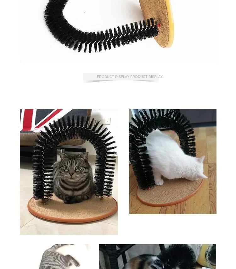 Purrfect Groom Arch