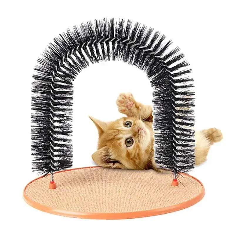 Purrfect Groom Arch