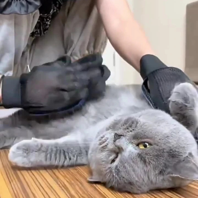 Silicone Cat Grooming Gloves for Hair Removal & Bathing - Meowzify