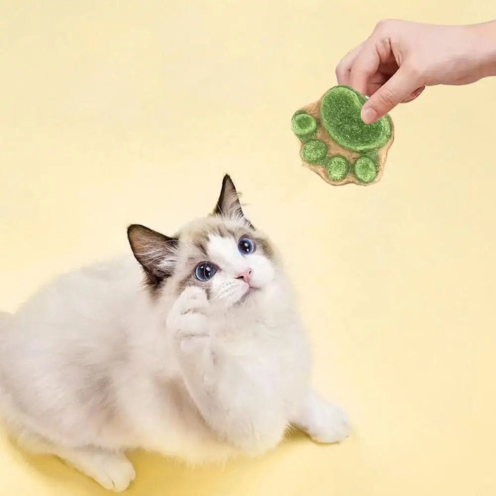 Paw Print Treats