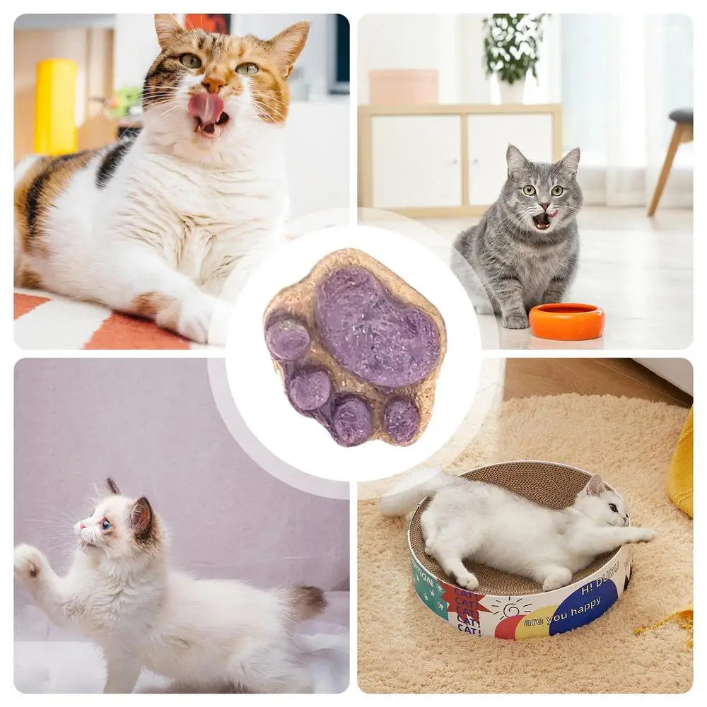 Paw Print Treats