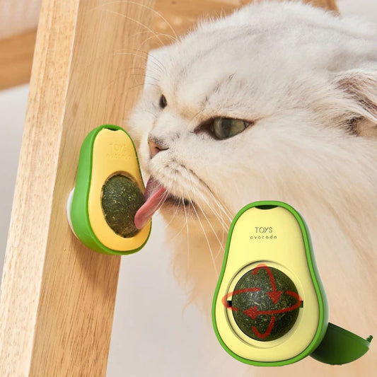 Natural Catnip Wall Ball Toy – Healthy Teeth Cleaning & Fun for Cats 🐾