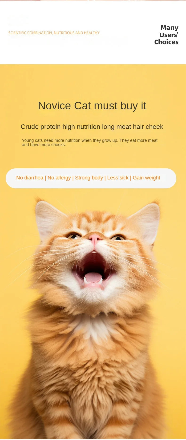 Freeze-Dried Catnip Bites
