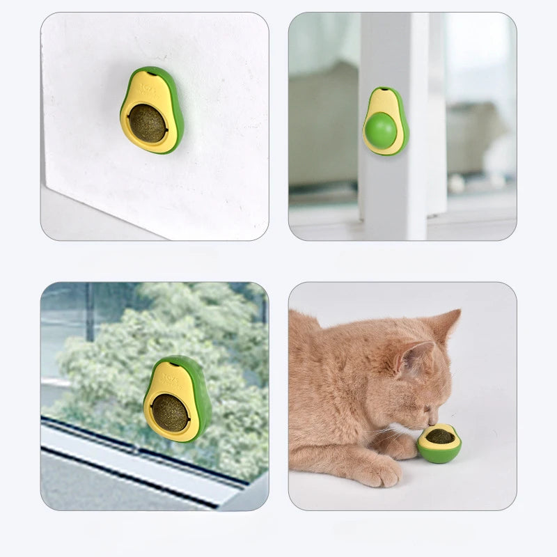 Natural Catnip Wall Ball Toy – Healthy Teeth Cleaning & Fun for Cats 🐾