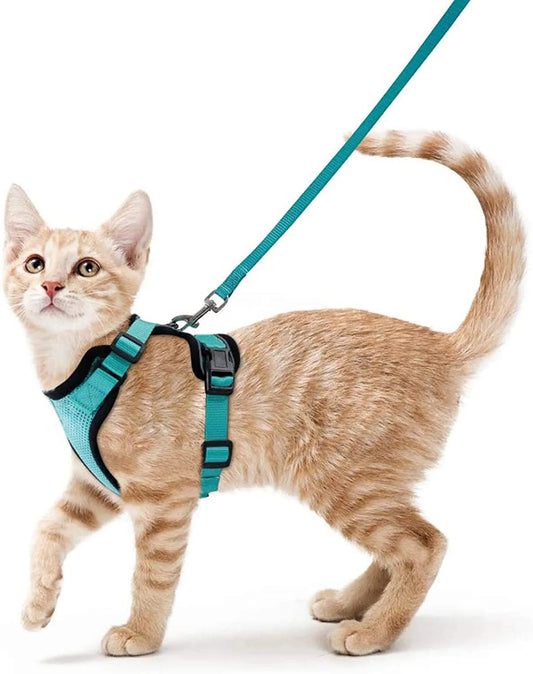 Escape-Proof Harness