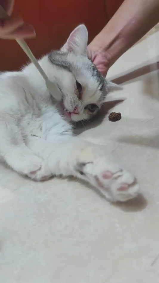 Durable Cat Chew Rope Toy – Bug Gall Fruit Teasing Rod for Kittens & Cats 